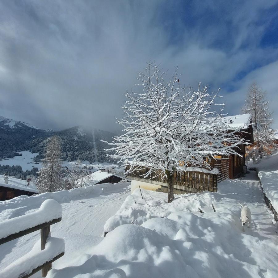 Chambre D'Hotes L'Ours Bleu Les Diablerets Exterior photo